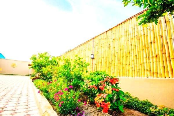 Safi House Bed and Breakfast Boma la Ngombe Buitenkant foto