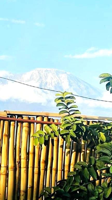 Safi House Bed and Breakfast Boma la Ngombe Buitenkant foto