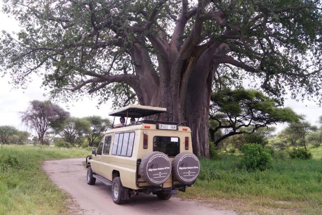 Safi House Bed and Breakfast Boma la Ngombe Buitenkant foto